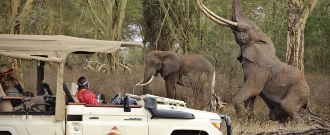 Experiencia-de-Safari-en-Kenia-con-Virgin-Limited-Edition-intriper.jpg