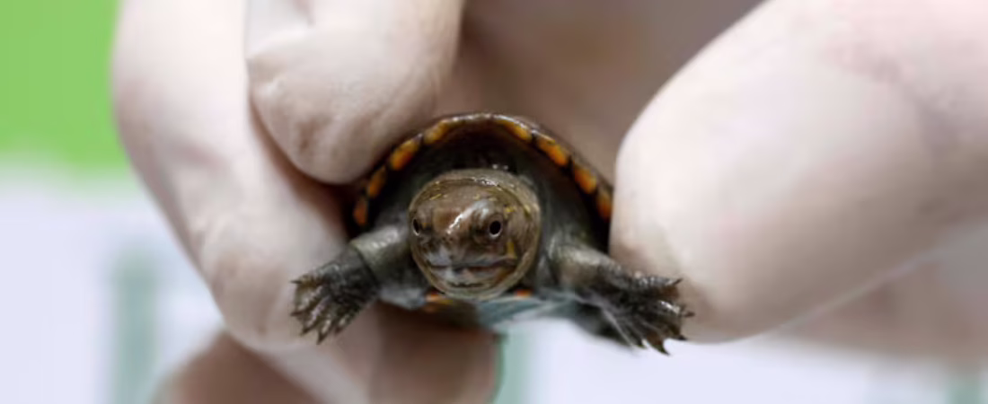 FBQMKMHBE5CDPJFBBK2S6QTGMQ