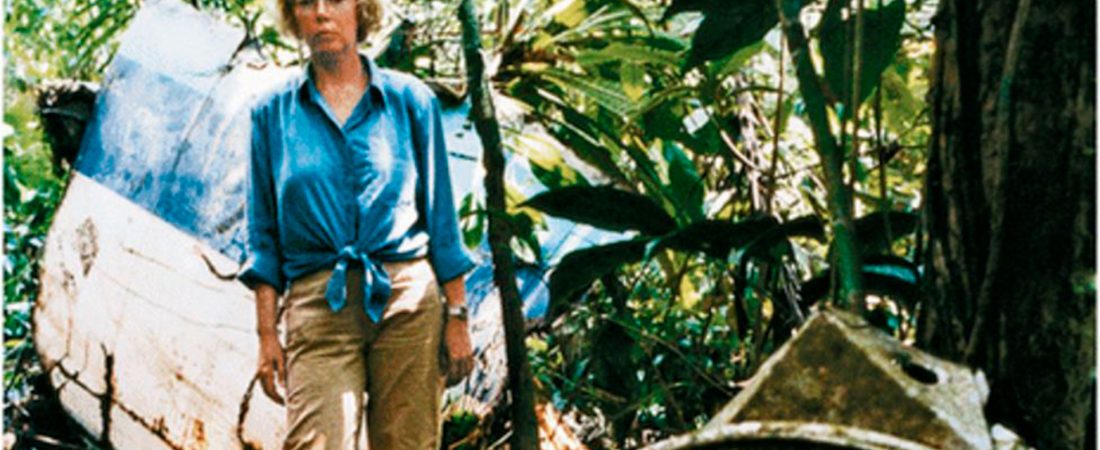 FJ4Z336KCVEXXMYMTVW4DNRXFU