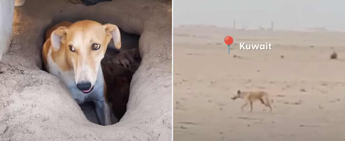 FJKGM3JCEZALLI7PMNU6TNMU2E