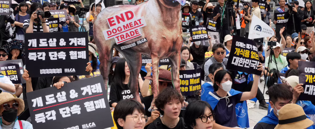 FLTR5ABFBQEHHPQYQNWLG7SN24