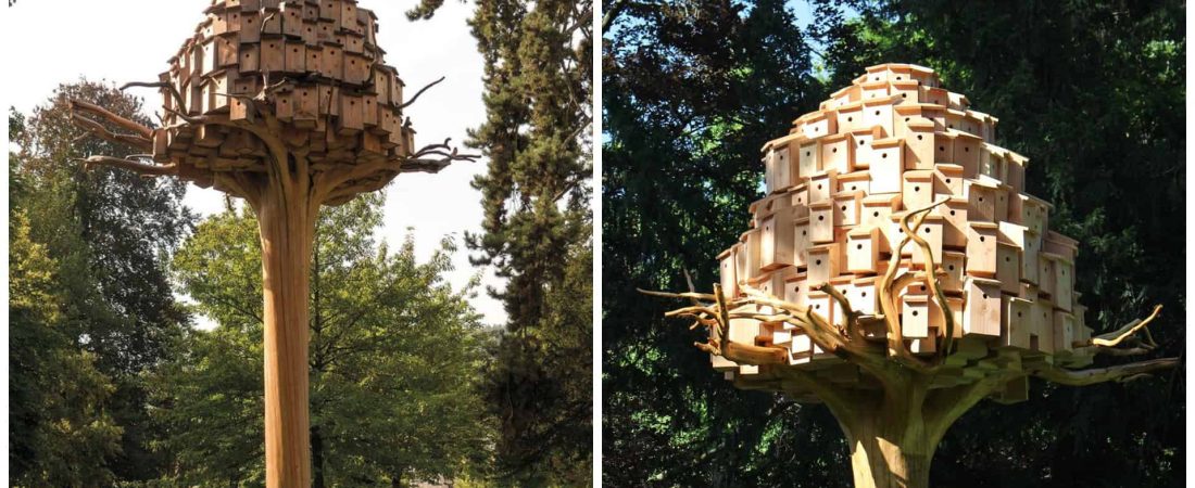 FotoJet - 2020-04-14T110602.779