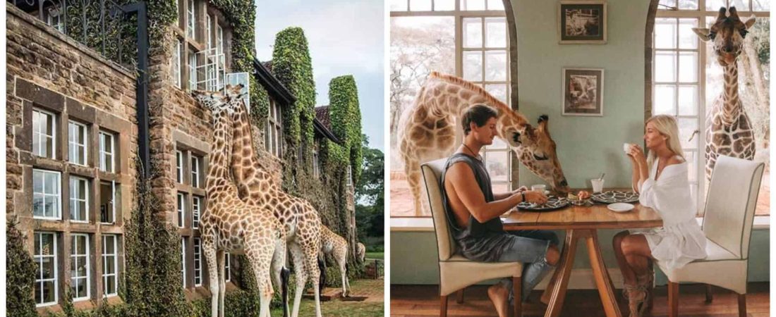 Giraffe Manor