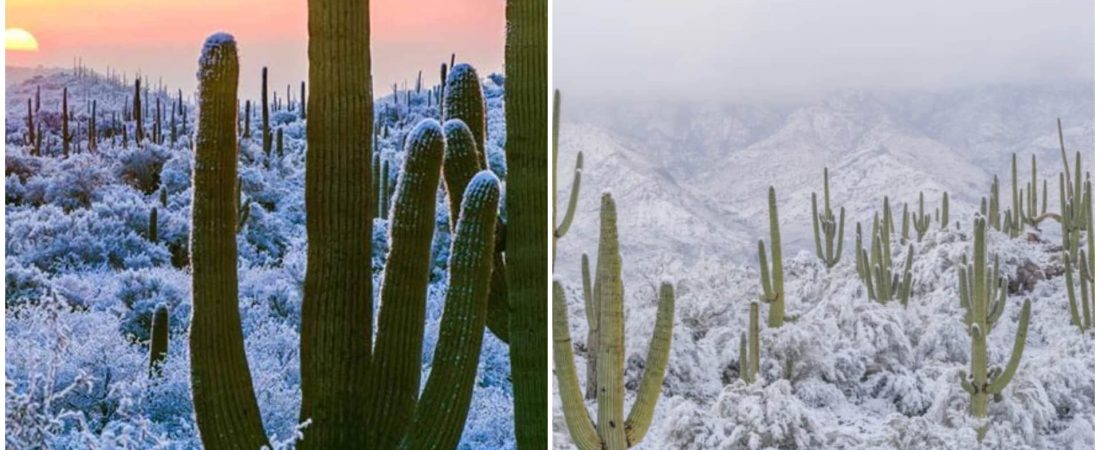 [Fotos] Nevó en el desierto más cálido de México y EE.UU. por primera vez en décadas