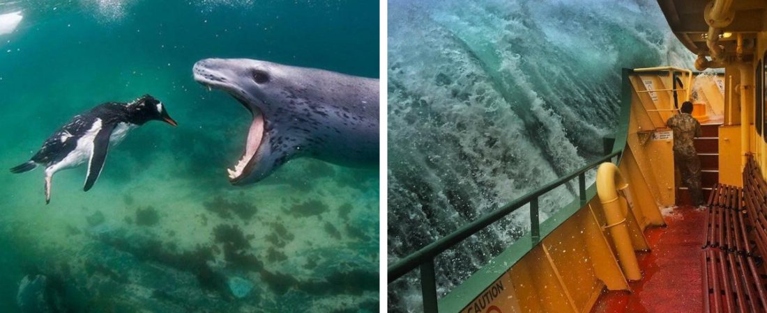 Fotos-aterradoras-del-oceano-que-te-haran-temer-al-mar-intriper.jpg