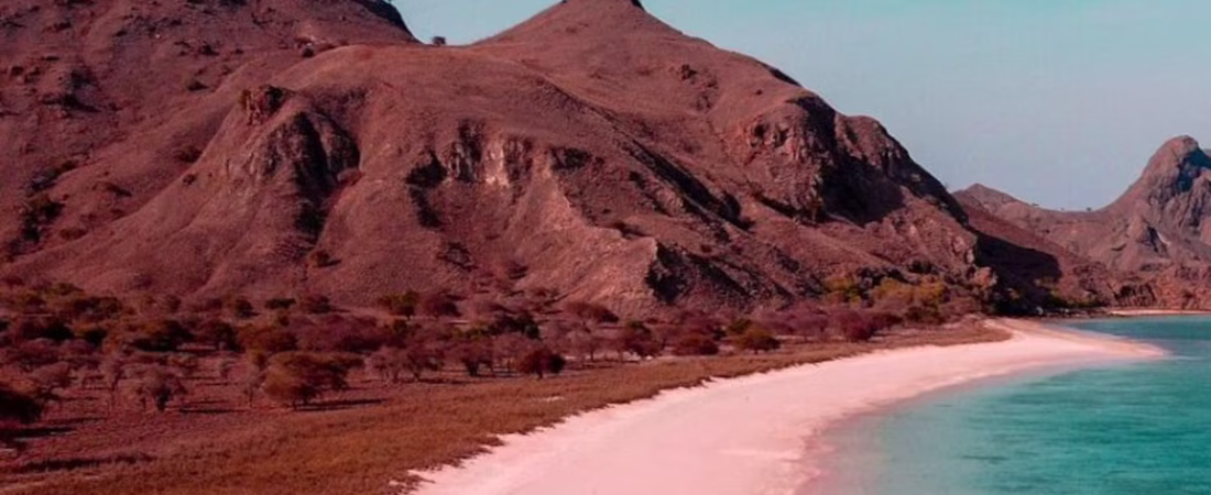 GKTJDB3M5FADJBPPMEKWP4JFRA