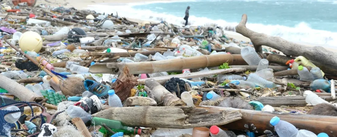 GP0STRF5F_Medium_res-1200x800