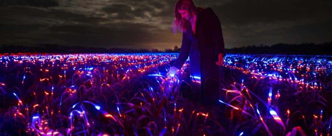 Daan Roosegaarde