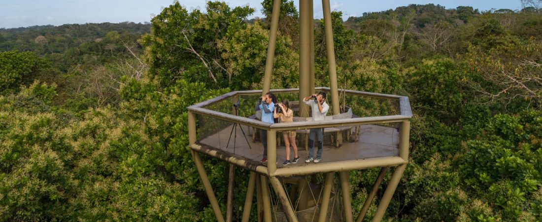 Gamboa Rainforest Reserve, Province of Panama-1