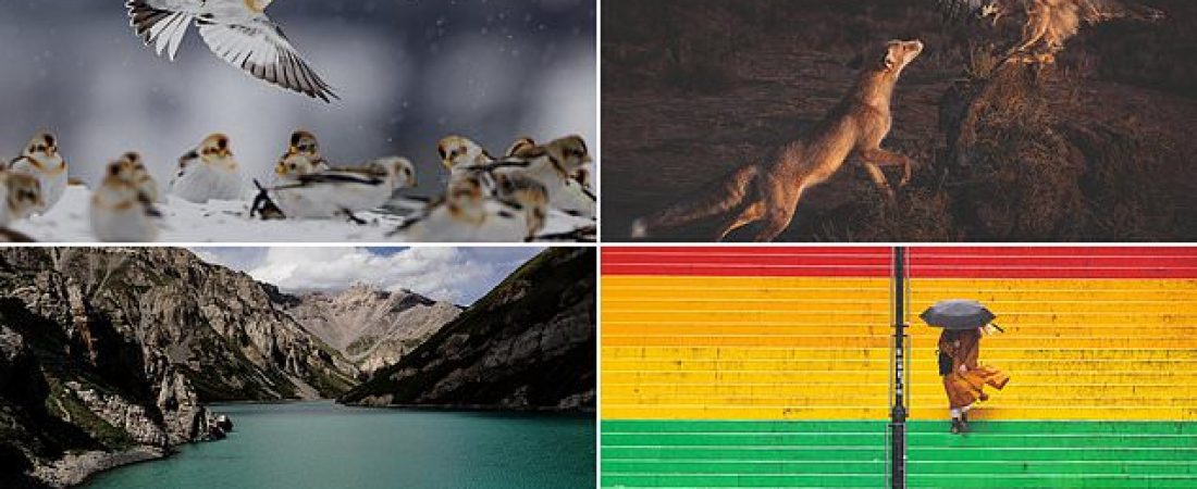 Ganadores-del-concurso-de-fotografia-de-National-Geographic-Traveller-2024-intriper.jpg