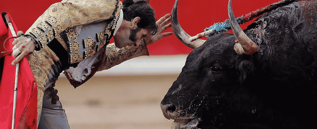 toros méxico corridas