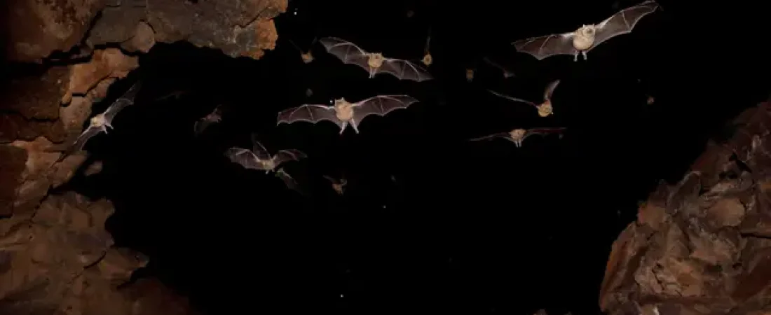 GettyImages-763171449