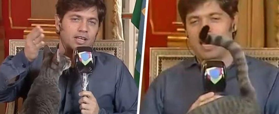 Governors-Cat-Interrupts-TV-Interview-To-Show-Viewers-Butt-Thumbnail