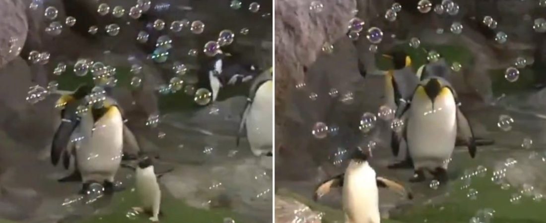 GuBeuAXXd_1200x630__1