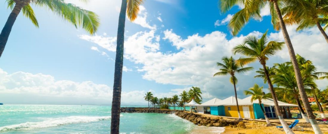 ISLA Guadalupe CARIBE