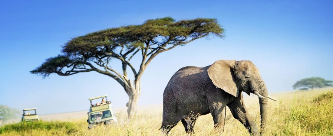 Guia-para-mujeres-negras-viajando-por-Tanzania-cultura-y-aventura-intriper.jpg