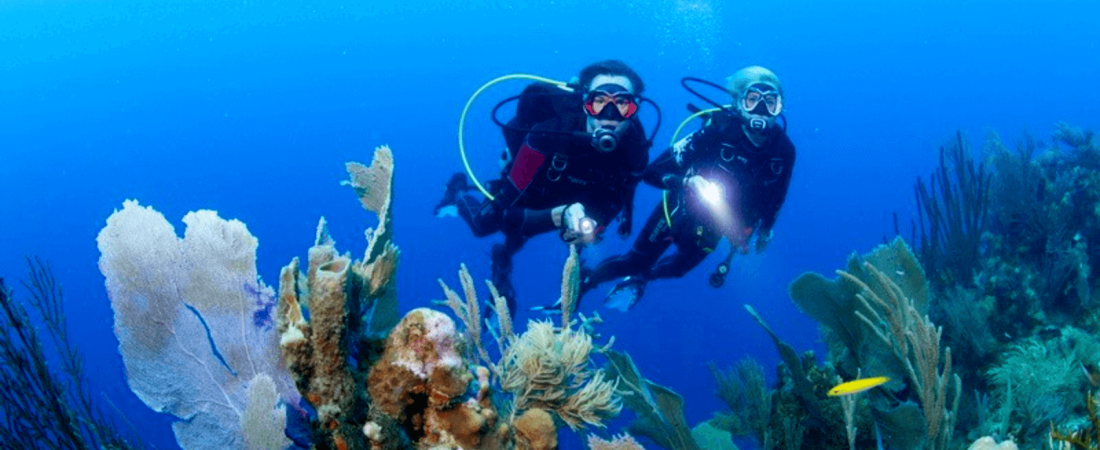 Guía definitiva de lugares que no te puedes perder si estás deseando un viaje de buceo 6