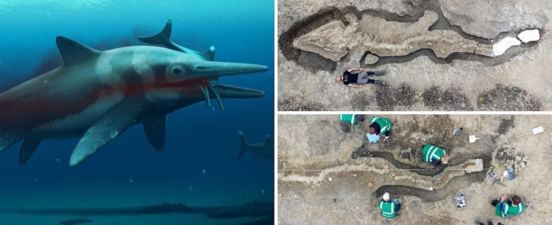 Hallan un fósil gigante de un "dragón marino" que data de hace 180 millones de años