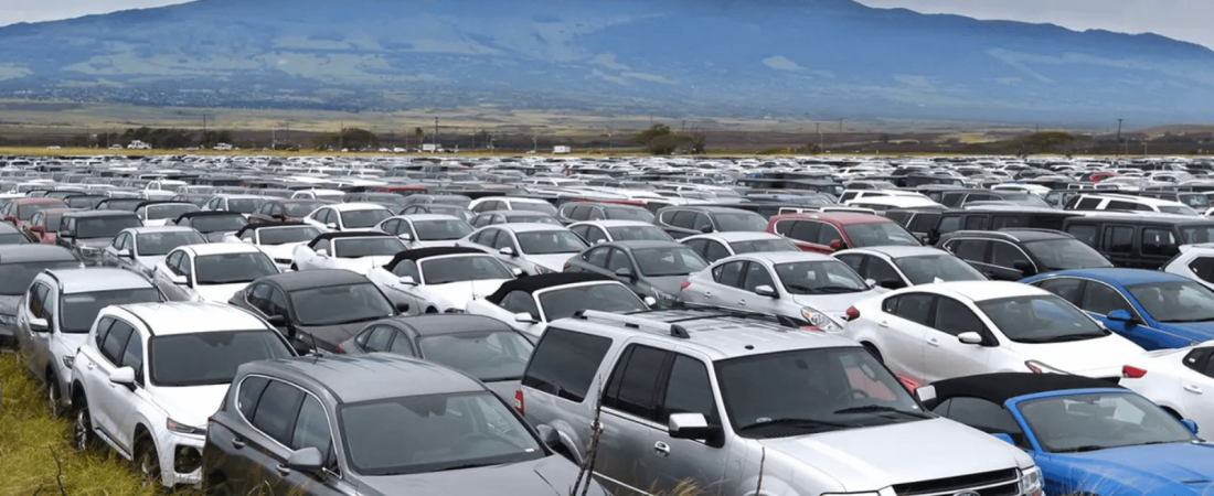 Hawai Más de 18.000 coches para alquilar duermen en campos de caña de azúcar debido a la dramática ausencia de turistas en la zona 3