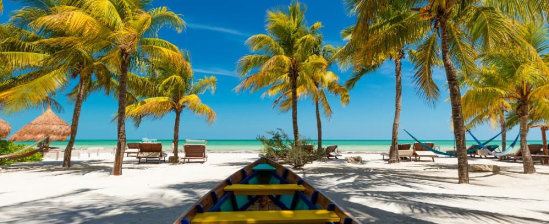 Holbox | Canva Pro