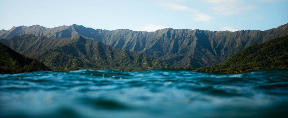 Homepage_Hero_042019v1