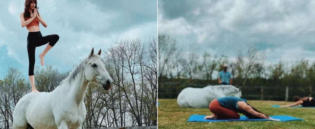 Horse Yoga Retreat conoce cómo es el primer retiro de yoga con caballos del mundo