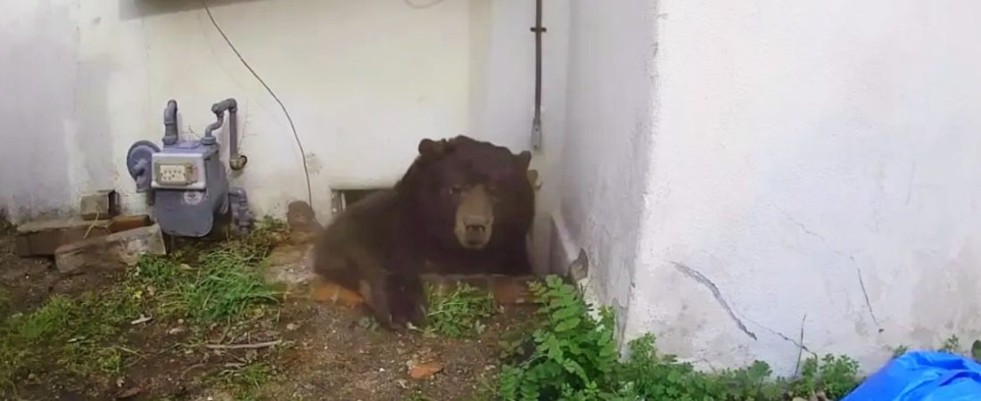 HqWfo47ct_1200x630__1