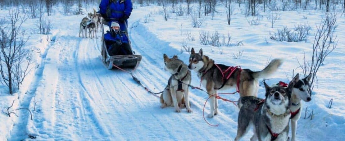 Husky
