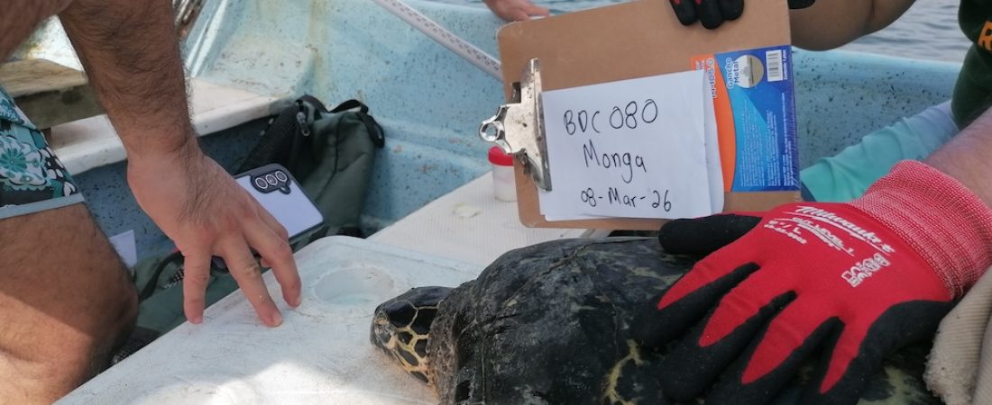 IMG_20260308_110836-1-1