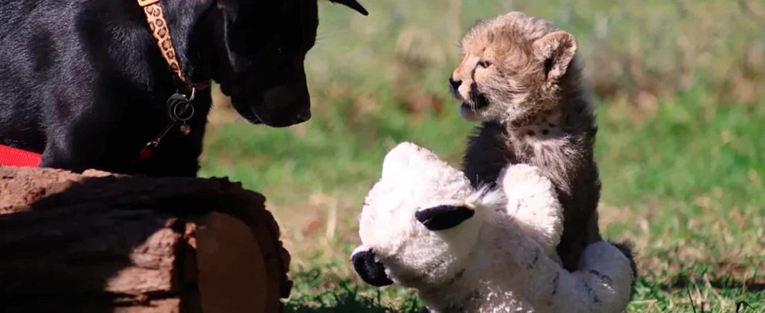 IMX3WAKDURHUVFOU6XGWHQKBCY