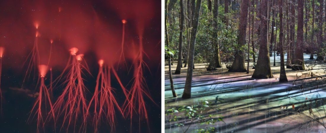Impresionantes-fotos-de-fenomenos-naturales-raros-y-sorprendentes-intriper.jpg