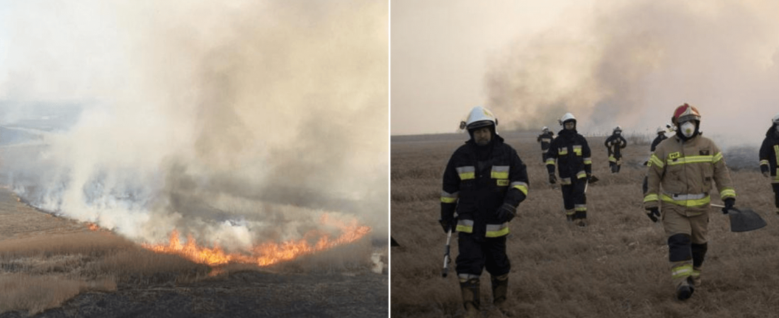 Incendio en el parque nacional más grande de Polonia