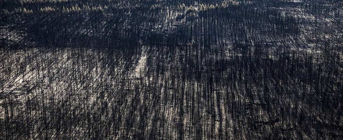 Incendios en la Patagonia argentina 3