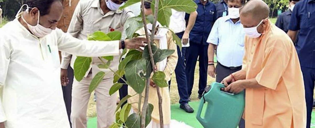 India-Uttar-Pradesh-state-government-released-Chief-Minister-Yogi-Adityanath-plants-tree