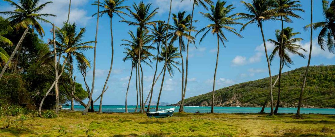 Isla-caribena-con-playas-virgenes-y-bar-flotante-imperdible-intriper.jpg