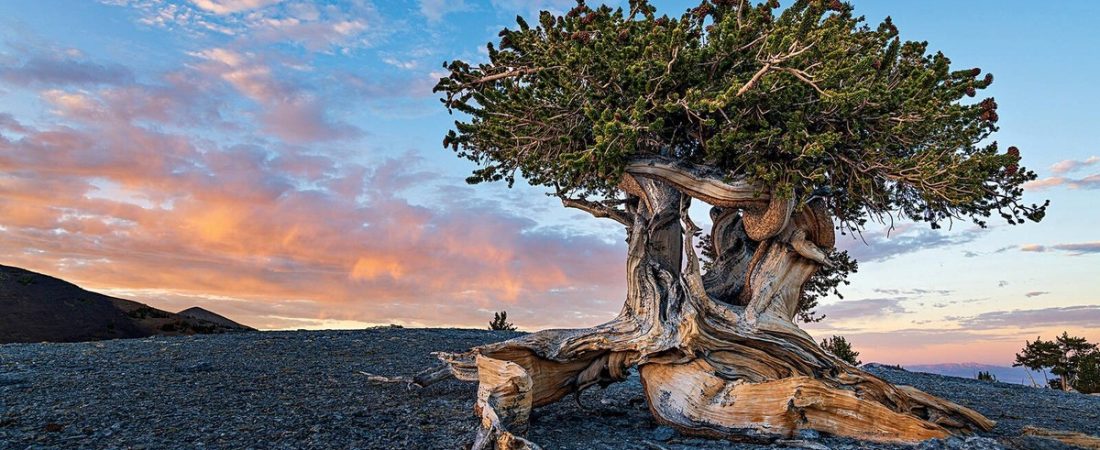 J2D-gcVsT_1200x630__1