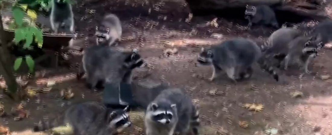 J377GLVXTZCOBIZXAQA2PK6U64