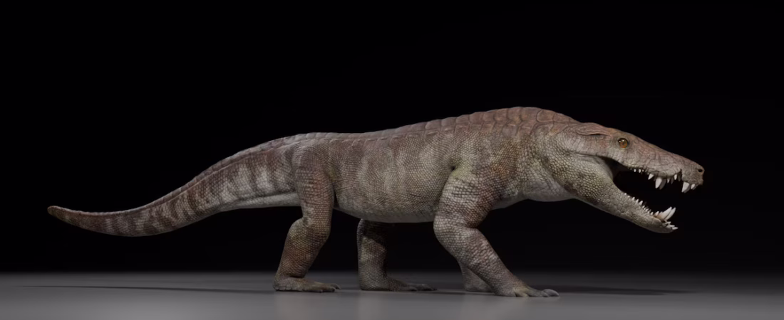 JRGJJ4YZ25EHHDMSO46GQE2UDQ