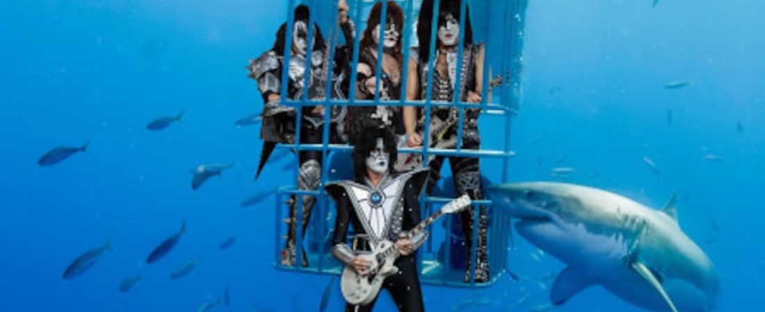 Cage diving with great white sharks at Guadalupe Island. This image was taken from one of the cages down at 10 metres while this male shark was inspecting the caged people.