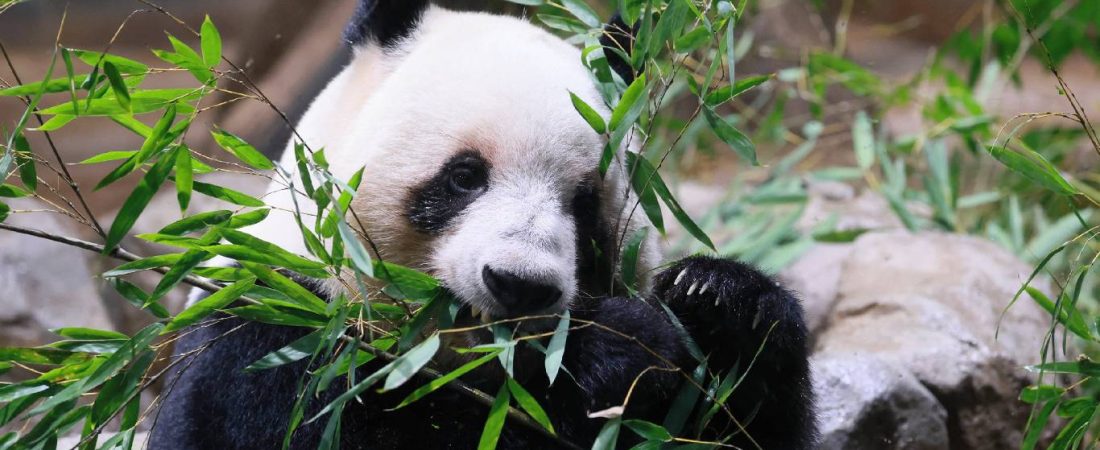 KWRXRWNKNBBBVAZXYQJJYXQQS4