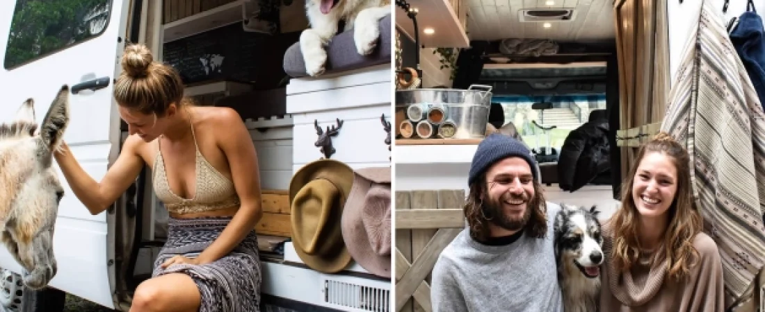 KY-COMP-INSTA-STAR-3103