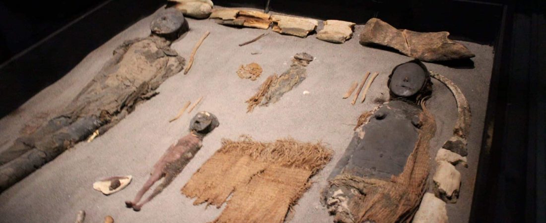 KYJMSDTSW5GJRJJKD32CBEK7BU