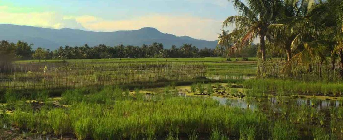 Kampot cambodia