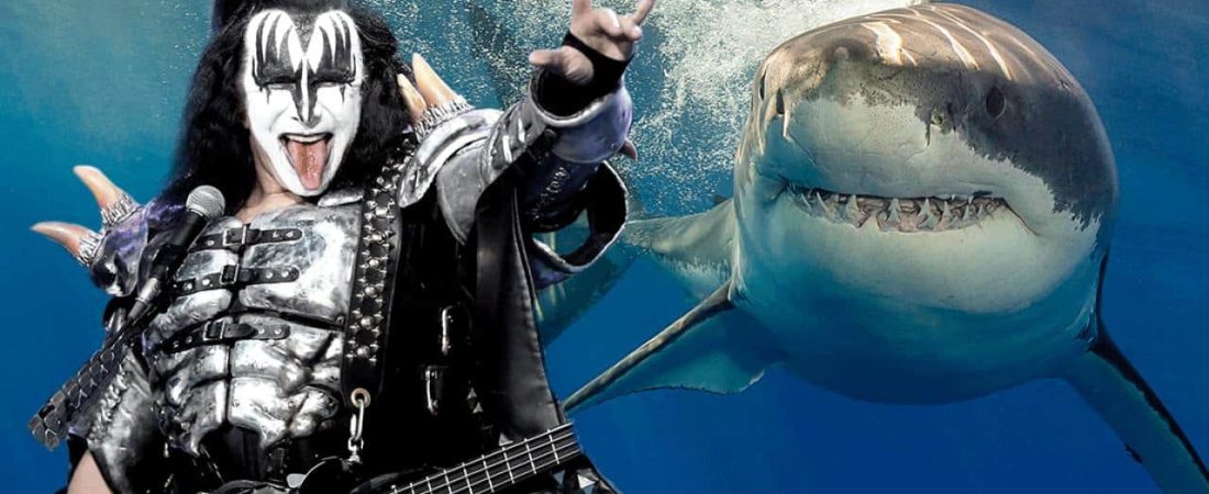 Kiss-great-white-sharks