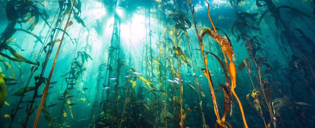 LFRDQTNNPBBDPOCVUZQ2O5SF6Q