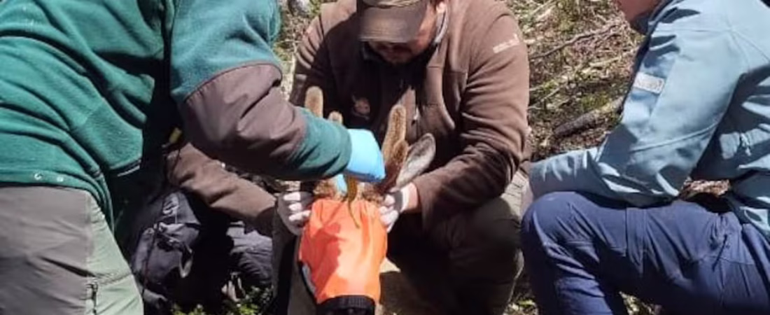 LWLTZC2C6FGHVDOYWRDDT7MCOQ