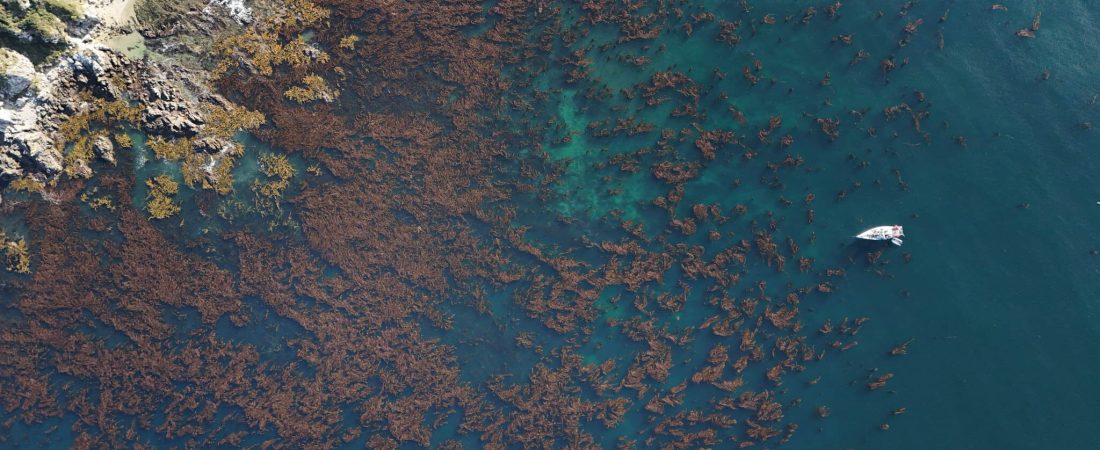 LXUCHWFRUFGBZOUKM4RB52KKS4