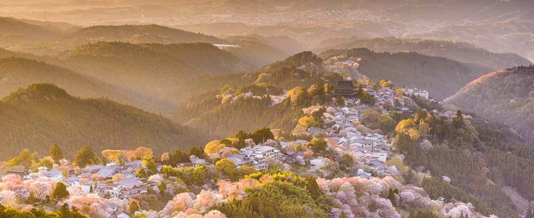 La-ciudad-con-mas-joyas-ocultas-de-Japon-que-no-es-Tokio-intriper.jpg