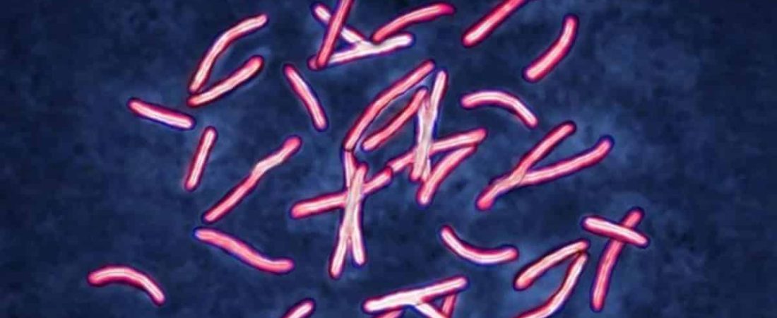 La-inteligencia-artificial-resolvio-en-dos-dias-el-problema-de-superbacterias-intriper.jpg