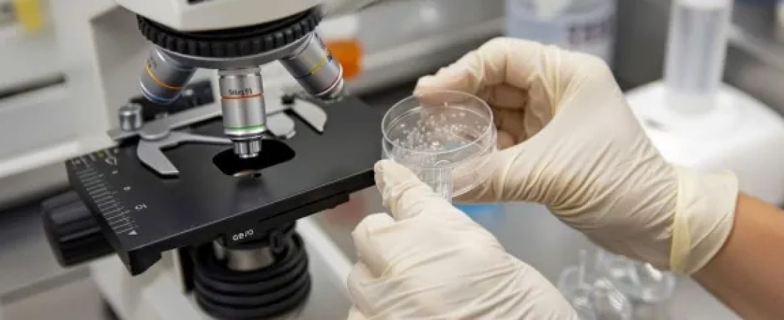 La-inteligencia-artificial-resuelve-en-dos-dias-un-desafio-cientifico-intriper.jpg